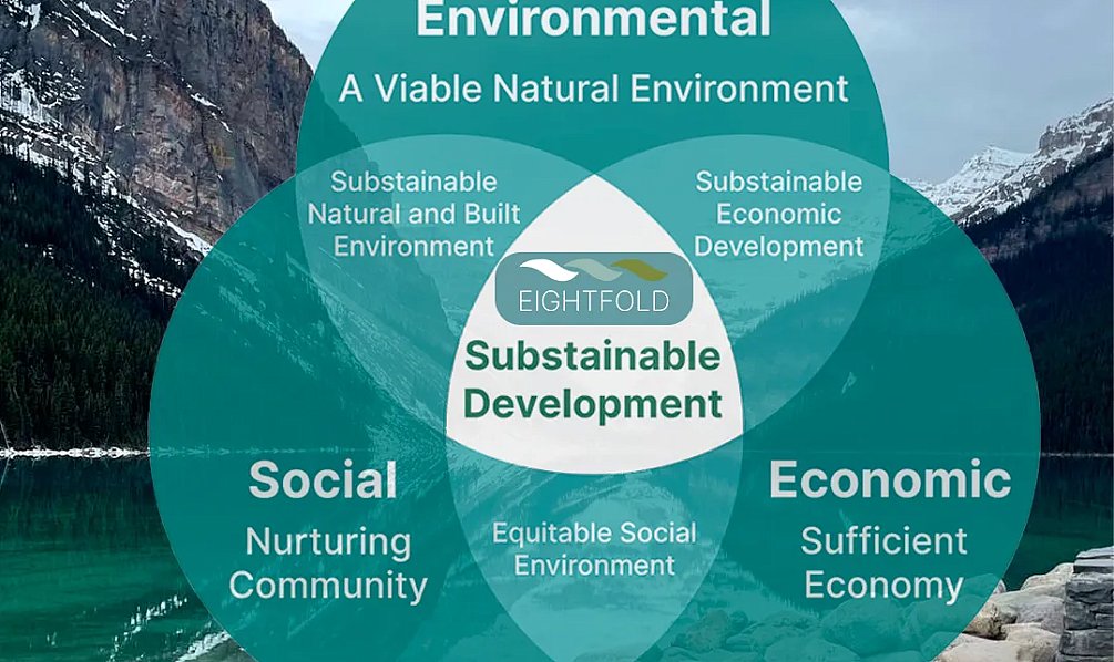 What are Sustainable Development milestones?